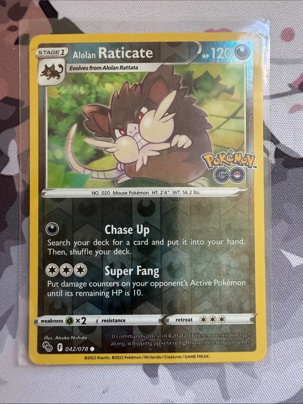 Rattata & Raticate Evolution Lot | Reverse Holo Pokémon Cards ✨5/$25✨